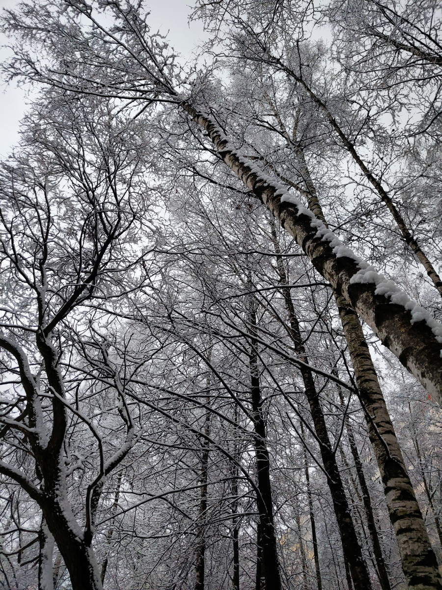 Это было в конце ноября, сейчас снегом и не пахнет 
