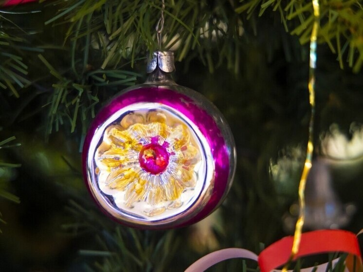     Фото: Юлия Боровикова (Вечерний Челябинск)