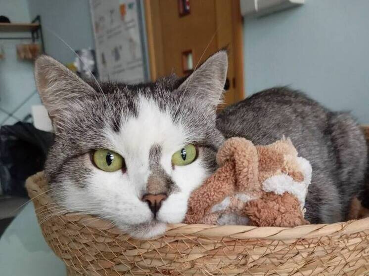     Фото: telegram-канал "Мой и твой Воронеж"