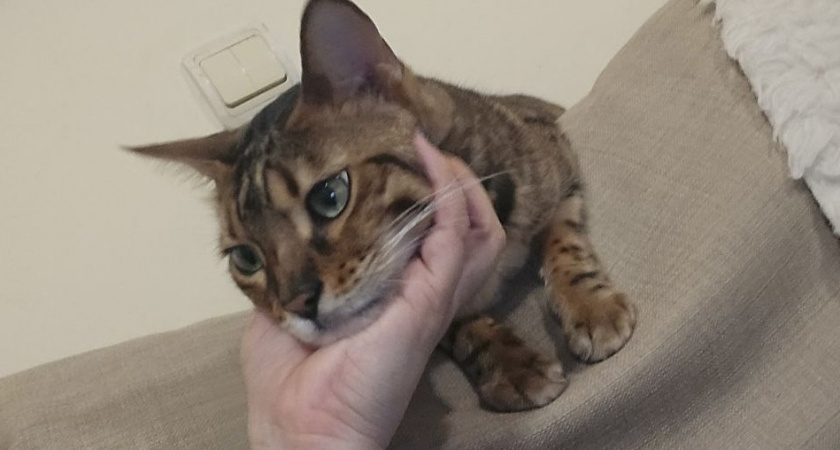    Фото Анастасии Дмитриевой