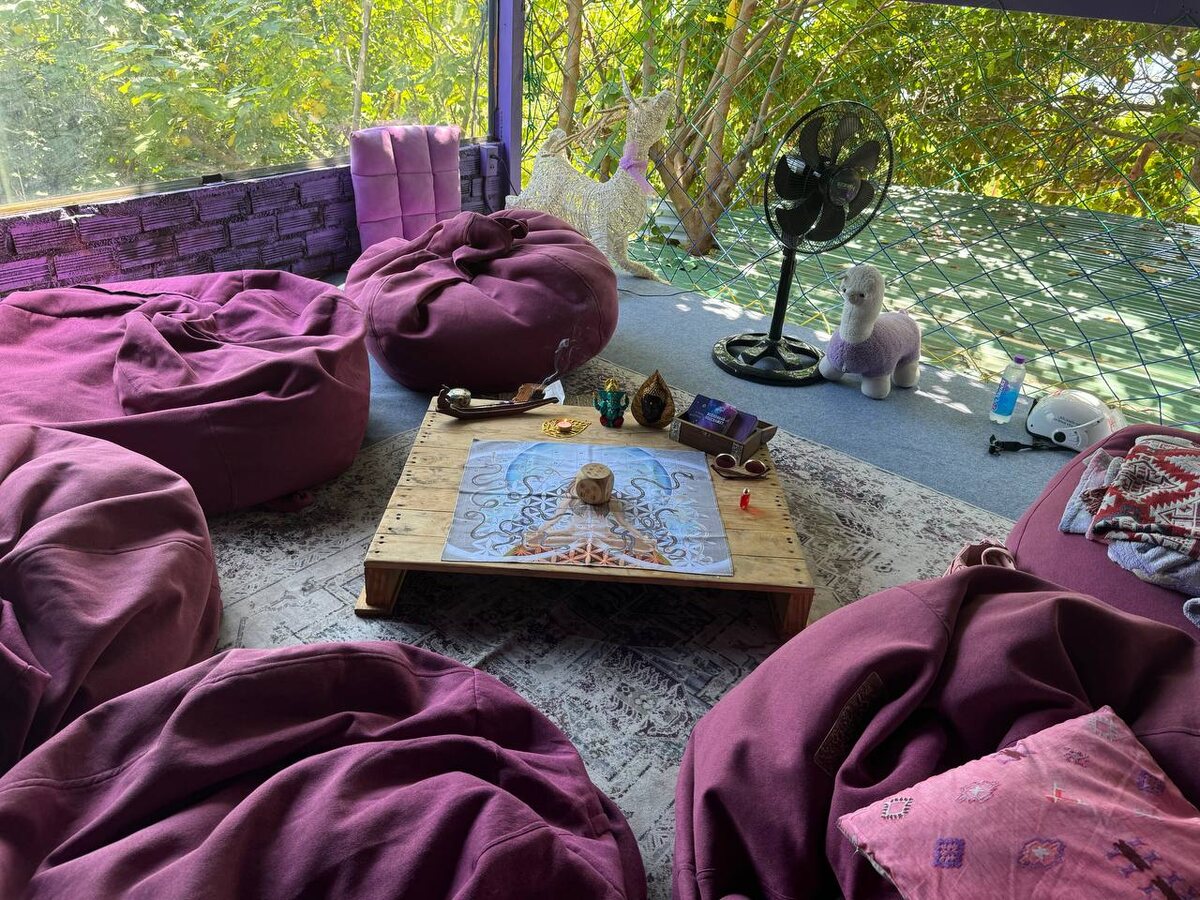 Игра Лила онлайн и оффлайн