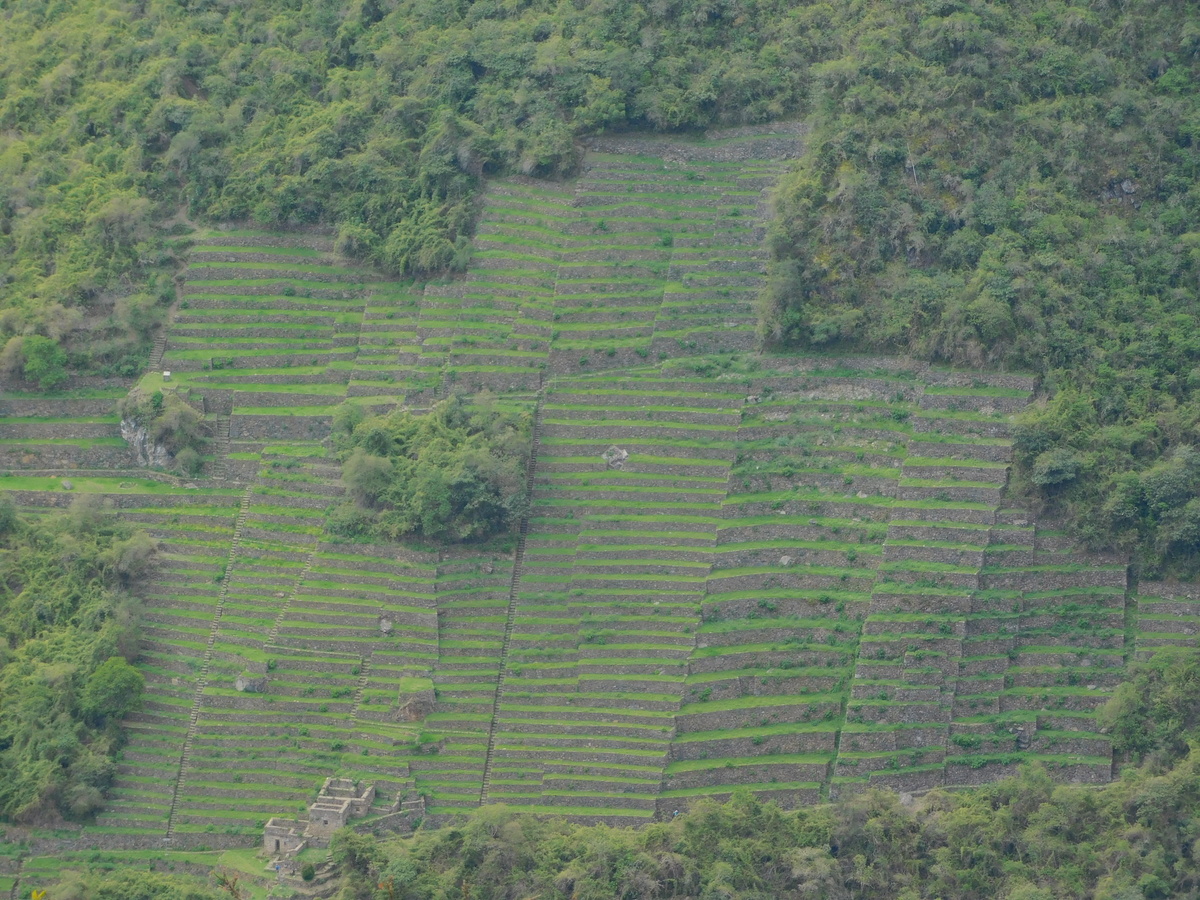 Перу, Чокекирао, грядки инков