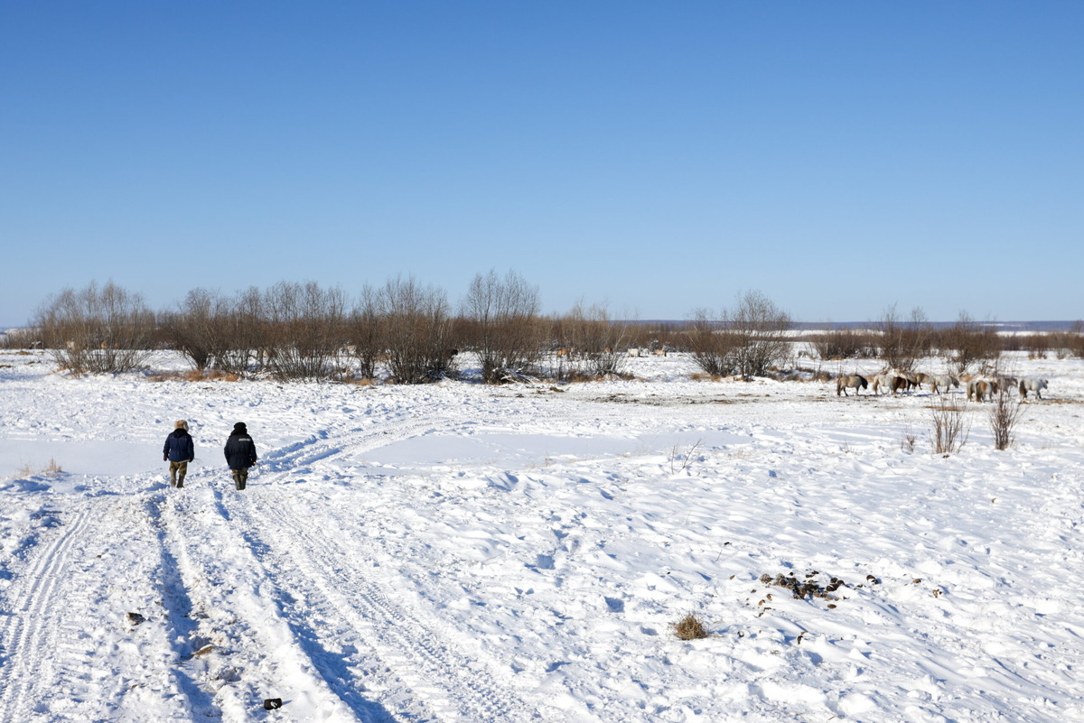 Фото: Вадим Скрябин/ТАСС