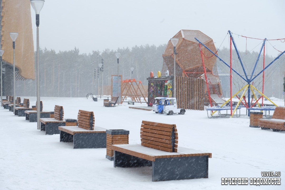     Фото: Владислав Постников / Вечерние ведомости
