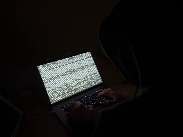     Аферисты стали отправлять поддельные новогодние открытки, которые замаскированы под изображения или видео. Фото: архив МК в Питере