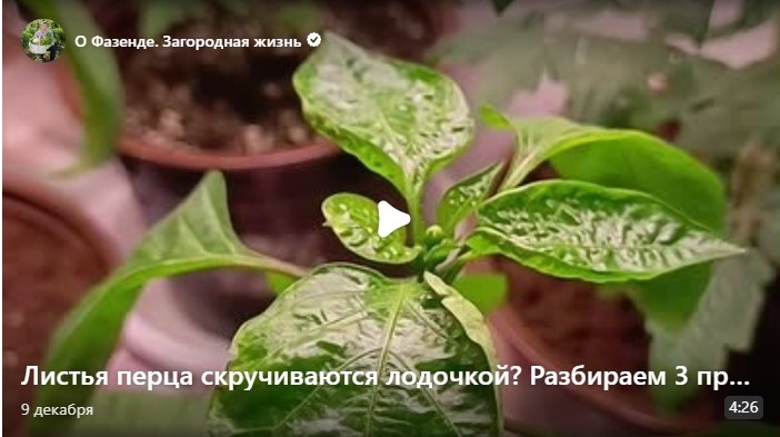 Премиум за неделю