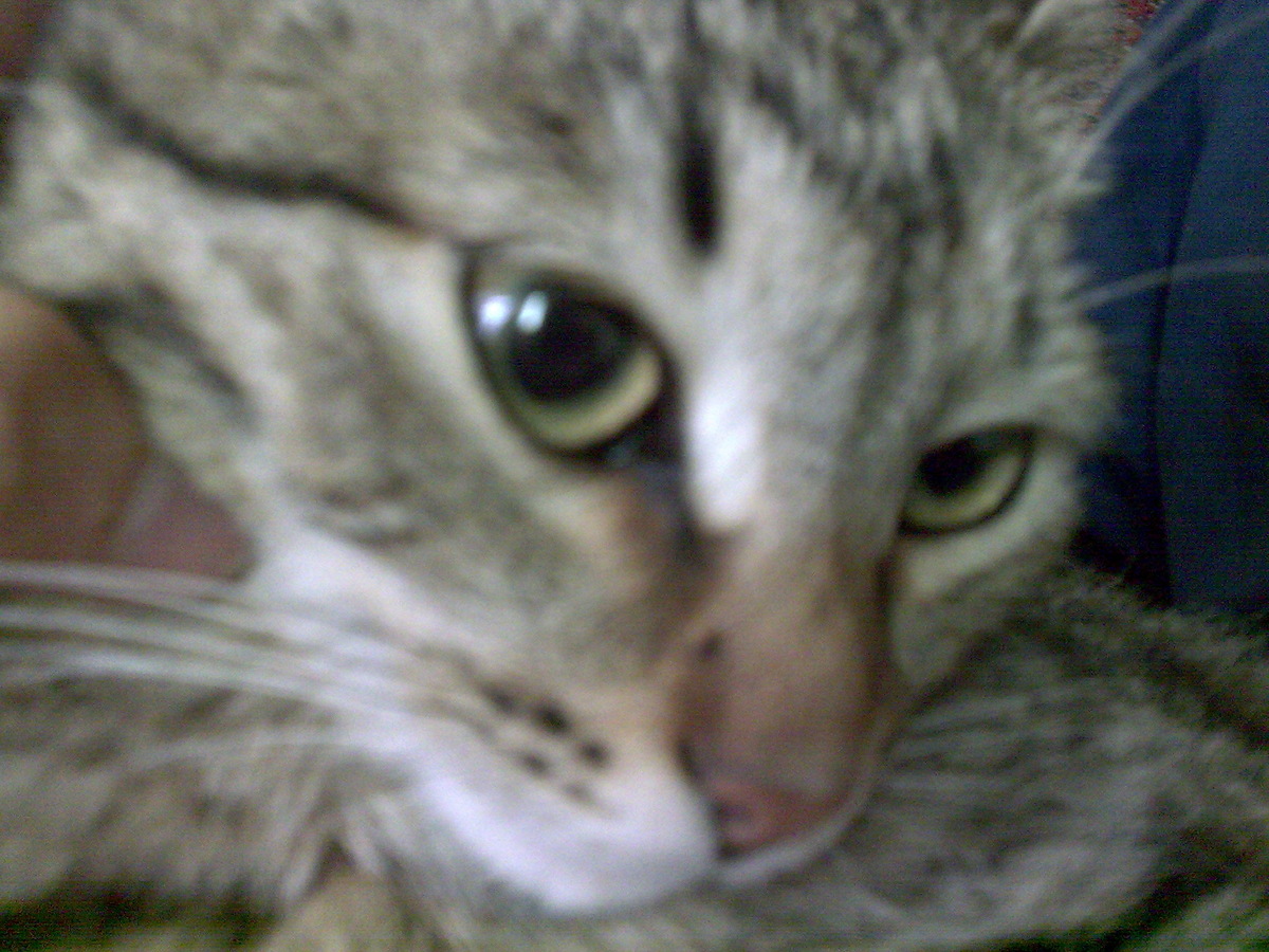 Эхх, ВасёёёК!