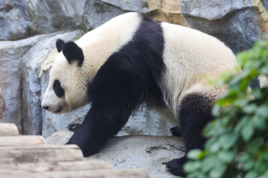    Наталья Шатохина/NEWS.ru