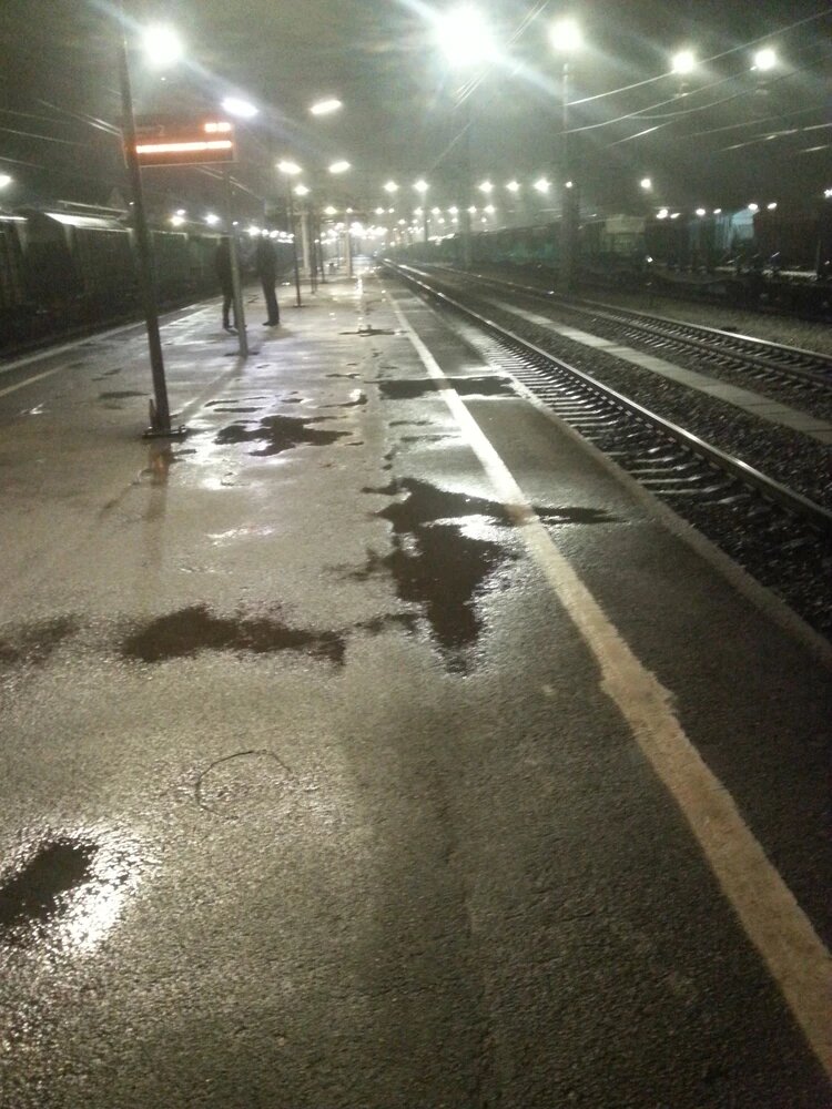 Та самая платформа станции "Мга" за несколько минут до задержания маньяка. Фото: пресс-служба СК Ленобласти.