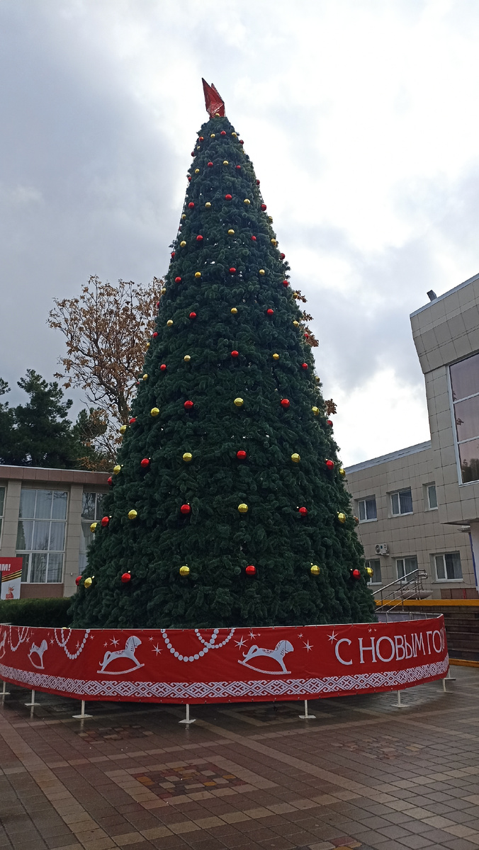 декабрь 2025 года