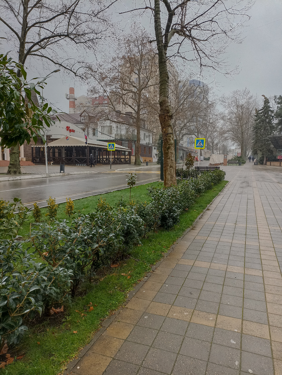 декабрь 2024 года