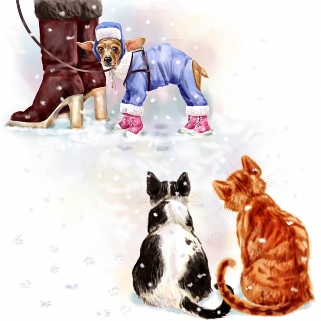  �������� ����������� : m.my.mail.ru�