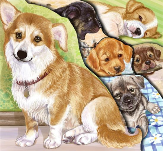  �������� ����������� : m.my.mail.ru�