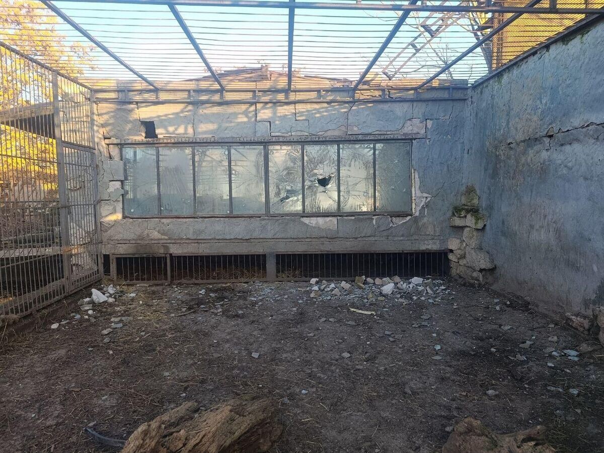     ВСУ с помощью дронов атаковали зоопарк в Васильевском районе Запорожской области | © Фото : Балицкий Евгений/Telegram