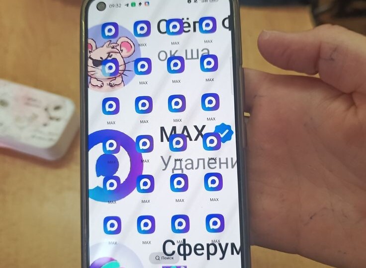 Мессенджер MAX: государственный по телевизору, коммерческий по документам