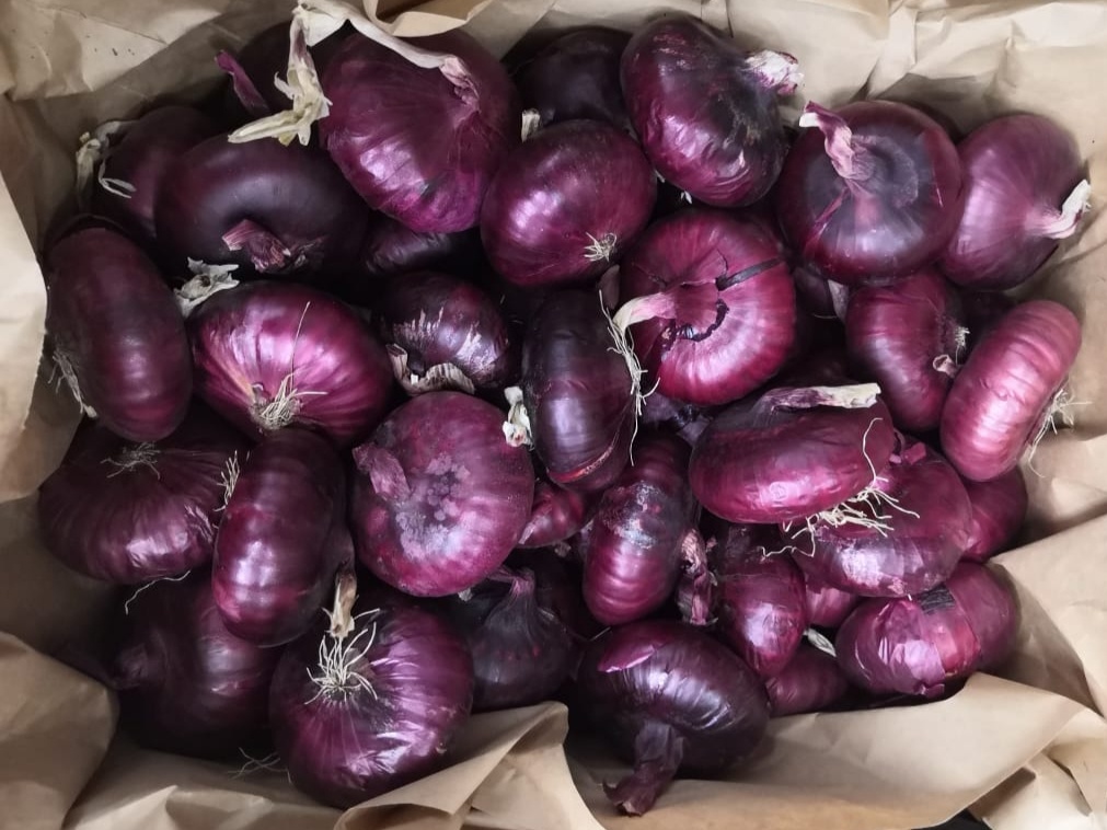 Ялтинский лук. Фото: spb.foodexpress24.ru