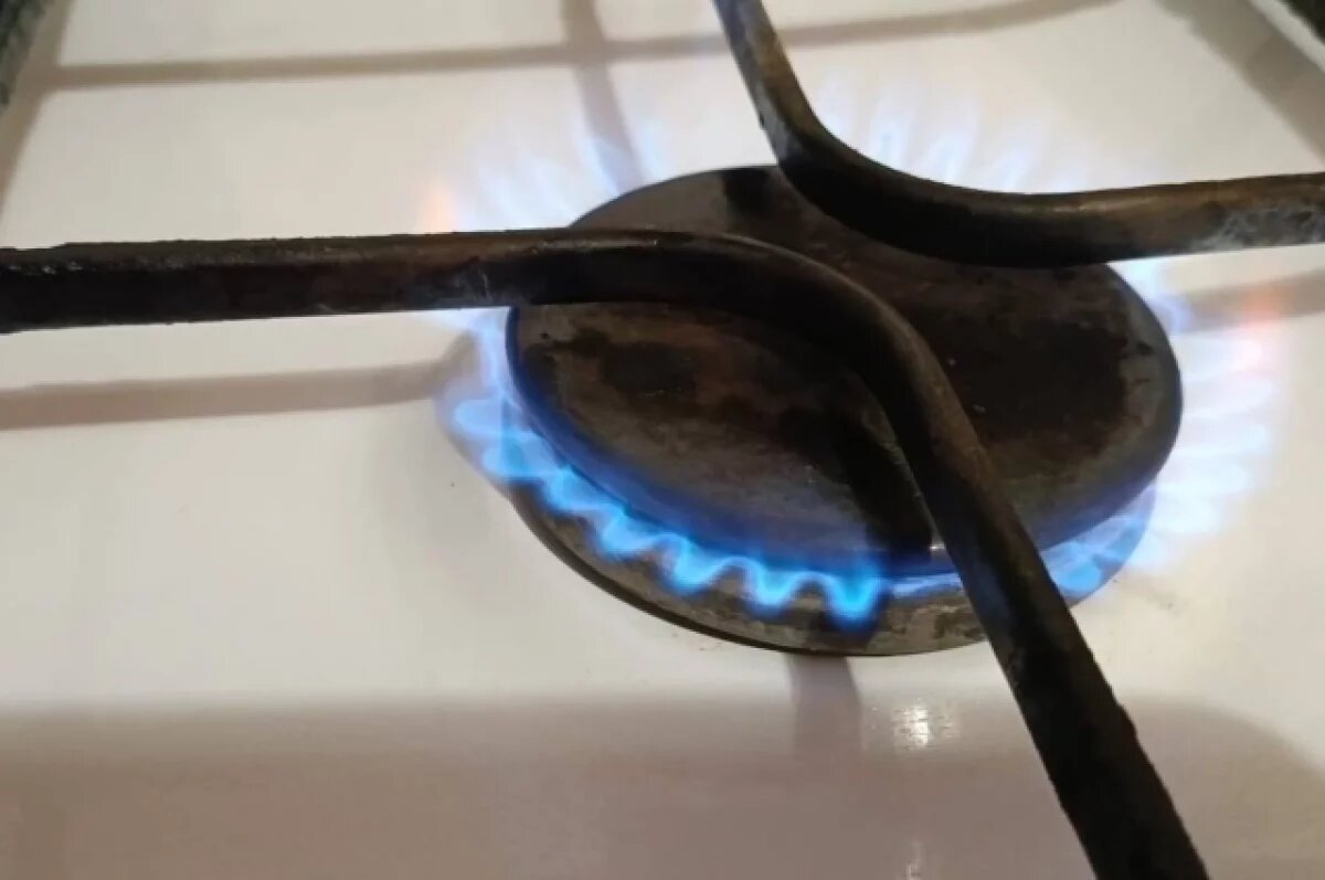    Природный сетевой газ для населения Тульской области подорожает с 1 января