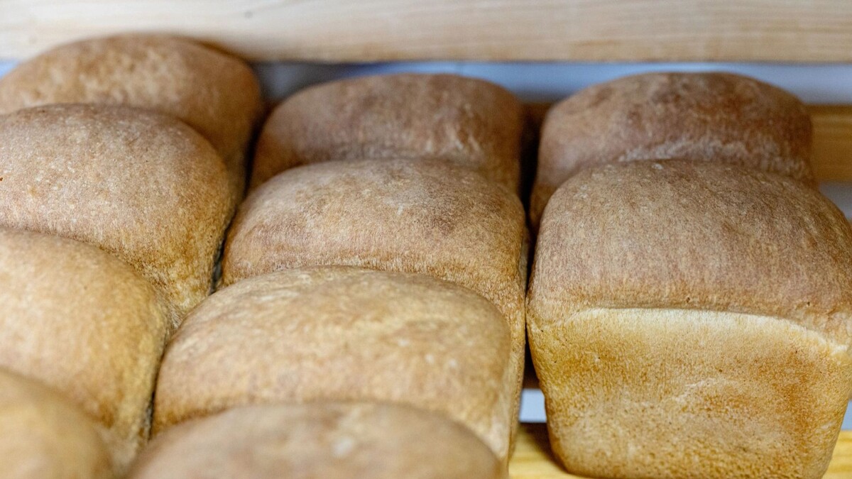    Фото: Сергей Зубков/«Ямал-Медиа»