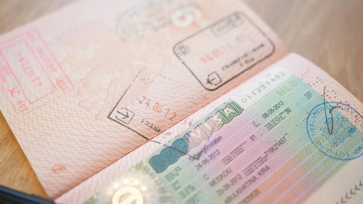    Фото: ИЗВЕСТИЯ/Анна Селина