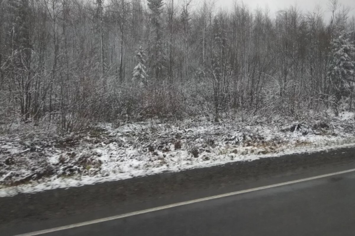    Дорожники бросили весь парк техники на очистку участка под Миассом