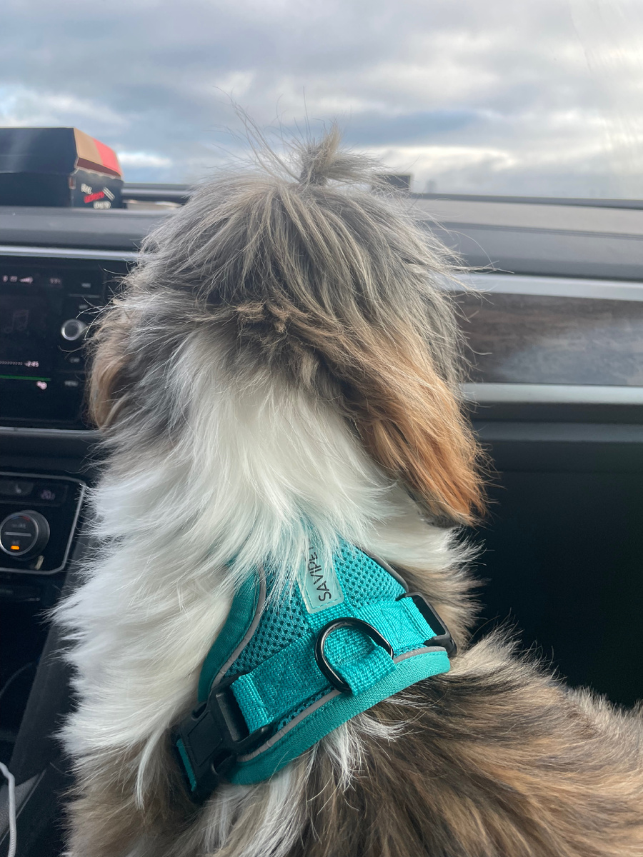 Дорога манит:)