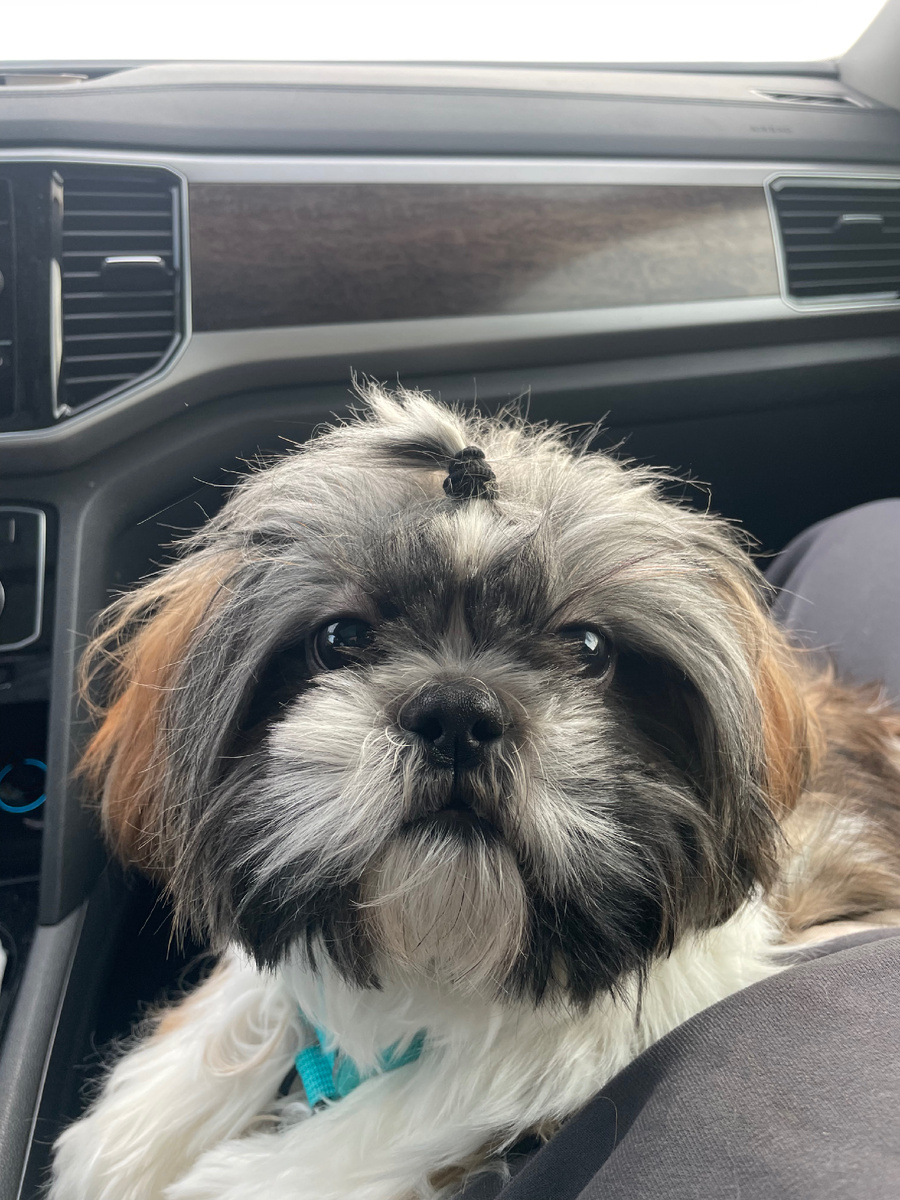 Он не догадывается сколько же впереди:)