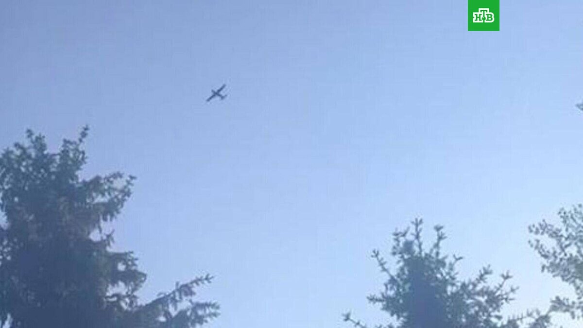    Фото: kuban_23 / t.me