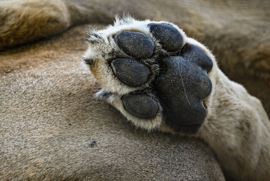     / Источник: © Константин Михальчевский/РИА Новости