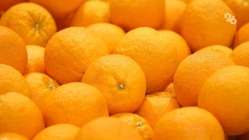      Фото: ИА «Победа26»