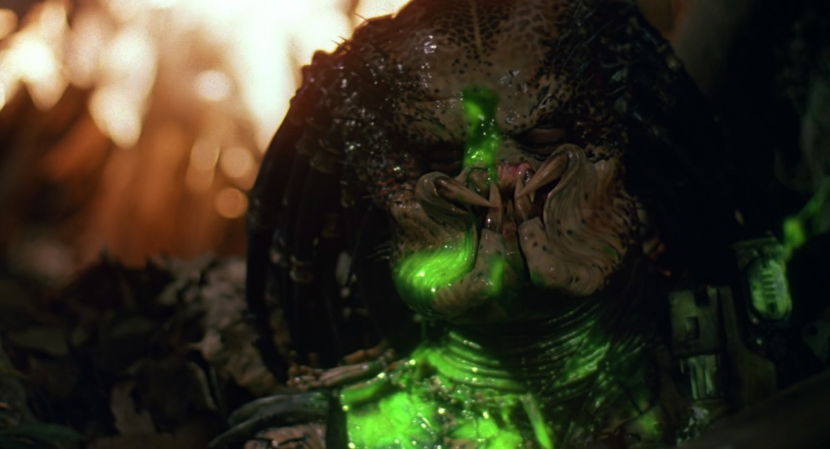 Впервые морду Хищника зритель увидел в заключительные десять минут фильма