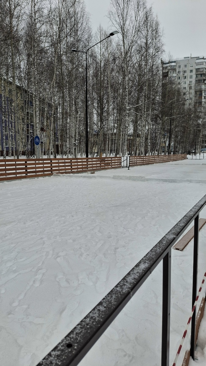    В Нижневартовске не все жители довольны строительством самого длинного катка в Югре