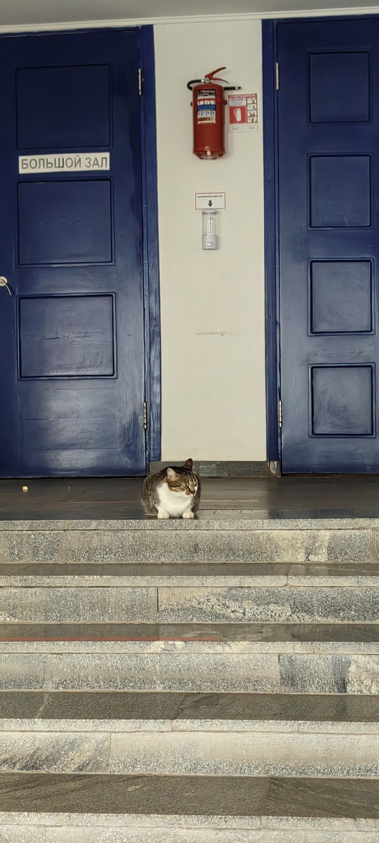 Главный контролёр в кинотеатре. Точнее контролёрша. Потом в буквальном смысле снизошла до нас и позвонила себя погладить.