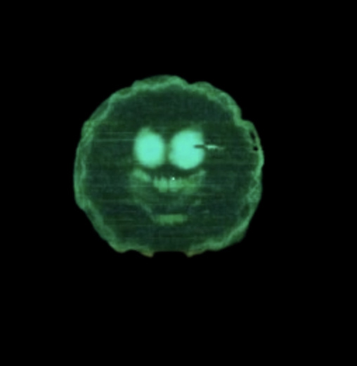 Шокер внешний вид