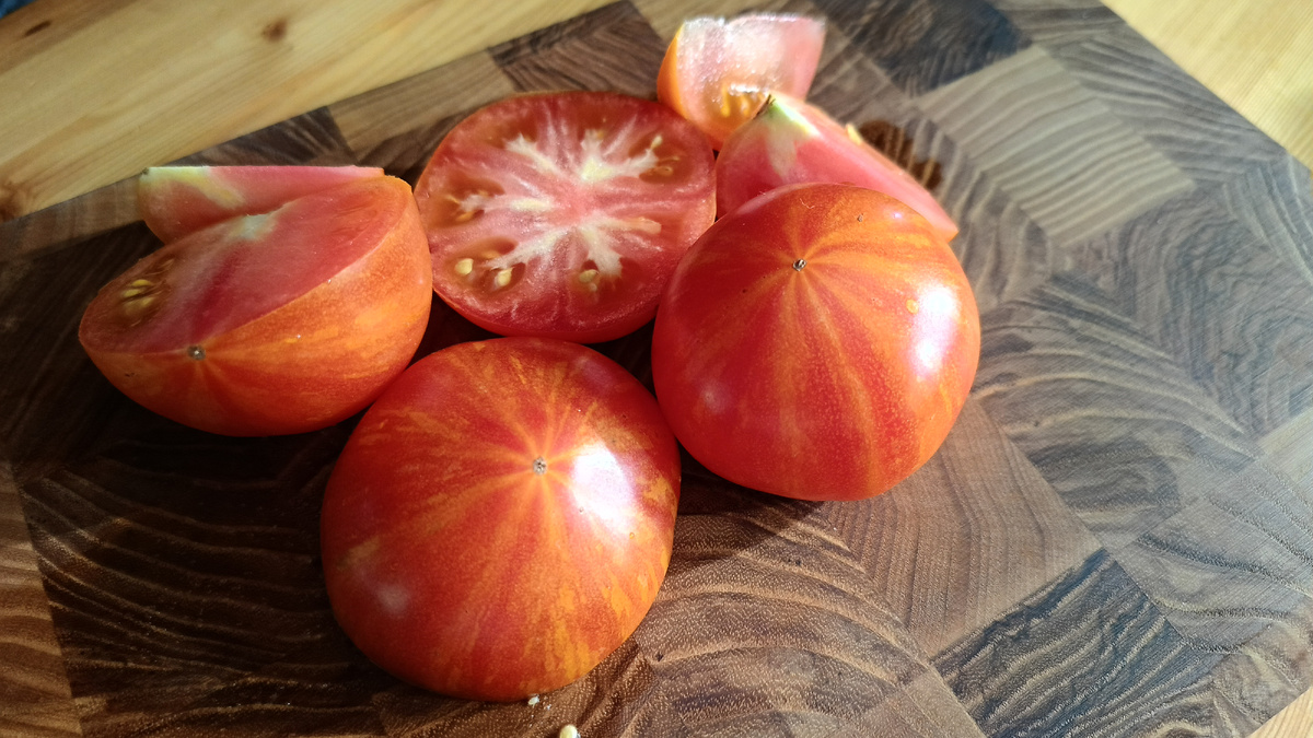 Томат Красочная леди