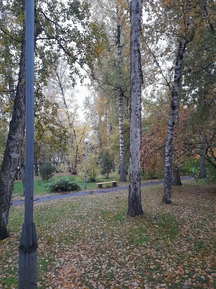 что-то осеннее. Сам фотку сделал, представляете?!