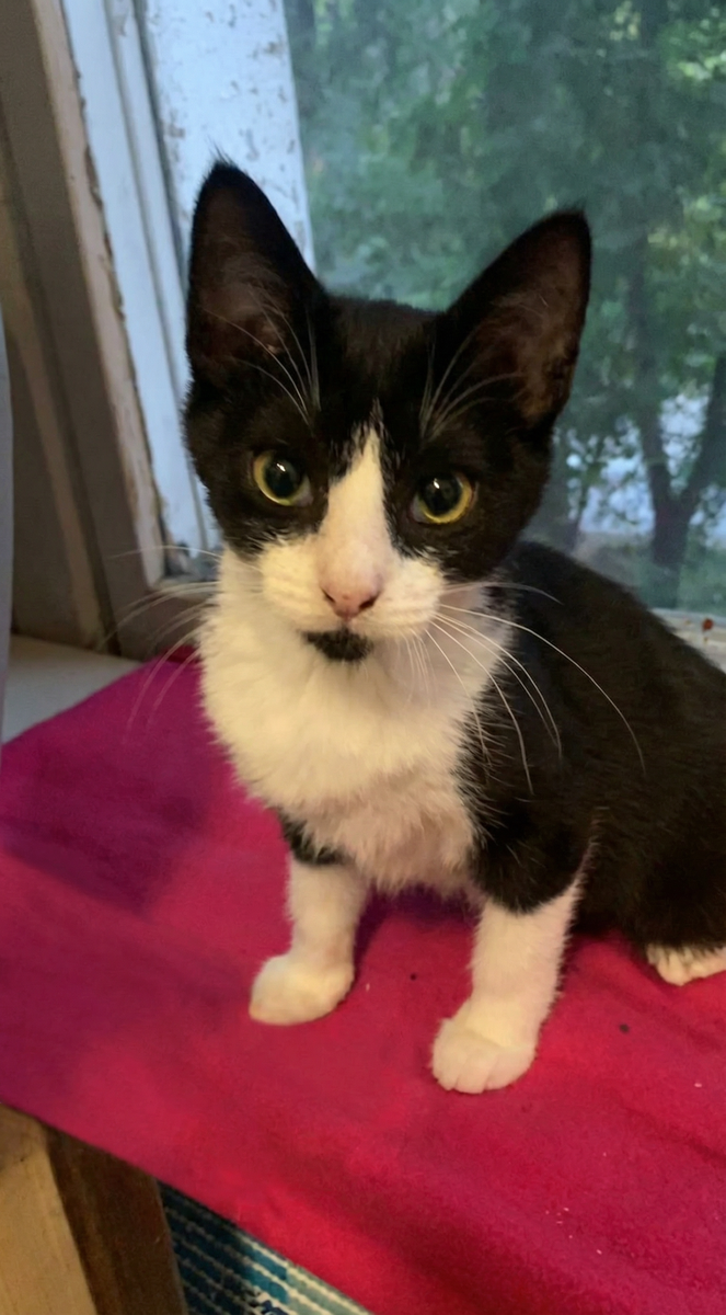 Маленькая я