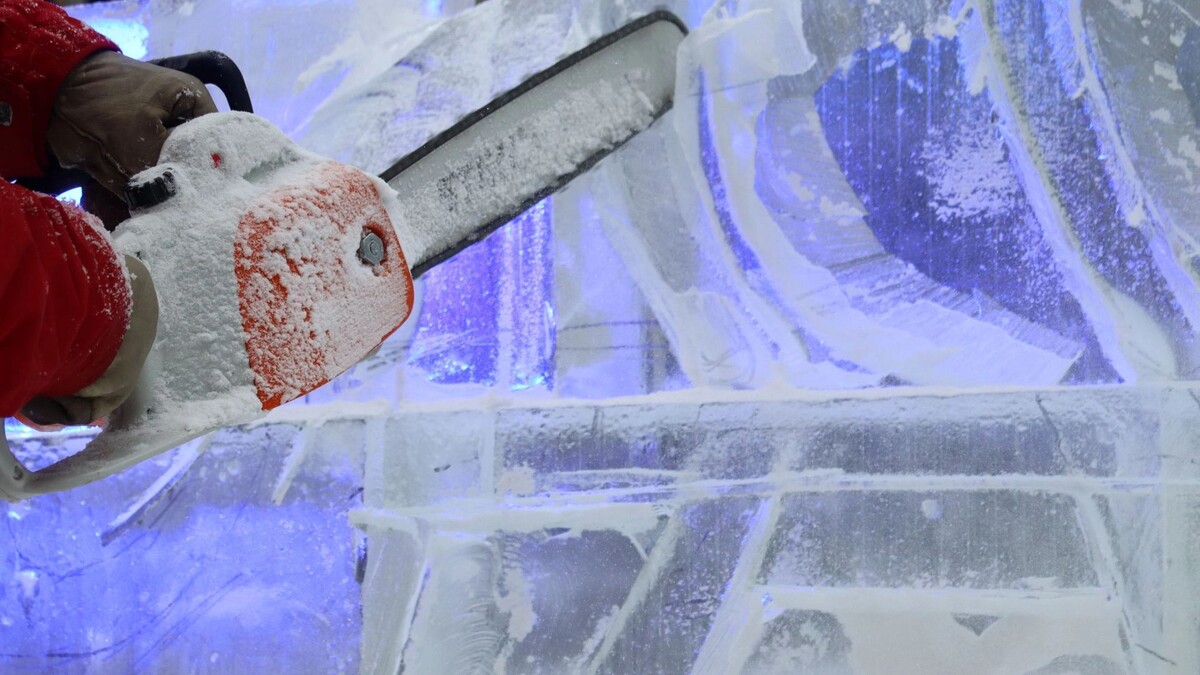    Фото: Madore89/Shutterstock/Fotodom