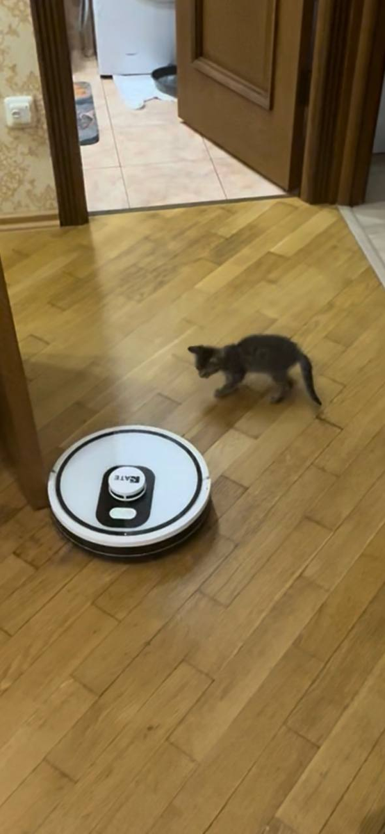 здесь я еще мал, но бесстрашен