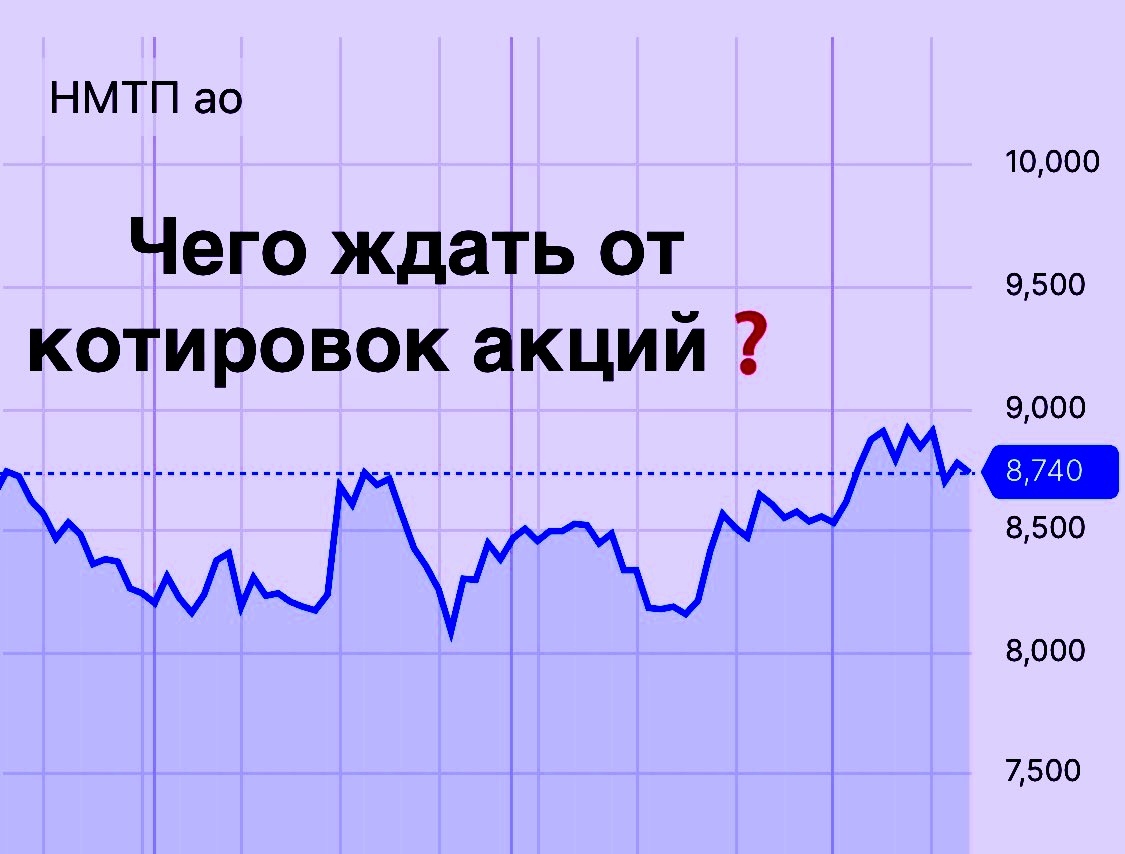 НМТП: парадокс роста на фоне рисков. Как портовый гигант зарабатывает рекорды?