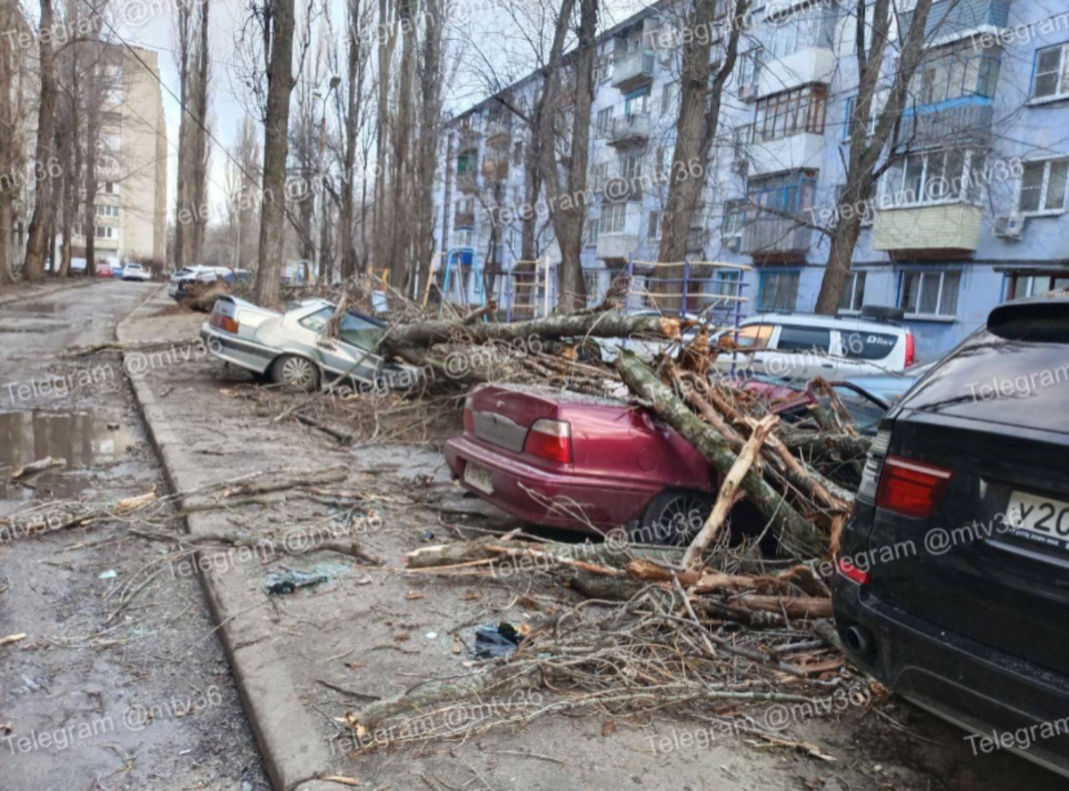 Наш Воронеж после урагана 