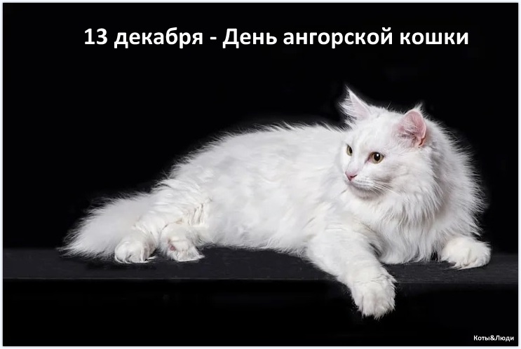 Коллаж автора. Использовано фото: ru.freepik.com