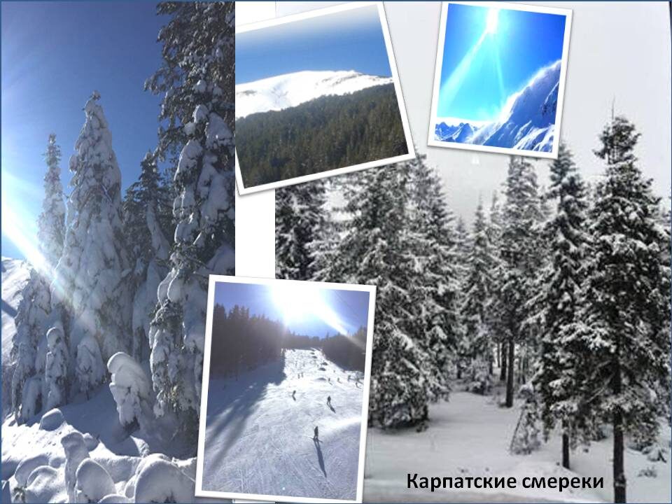 Снимок Татьяны Федотовой.