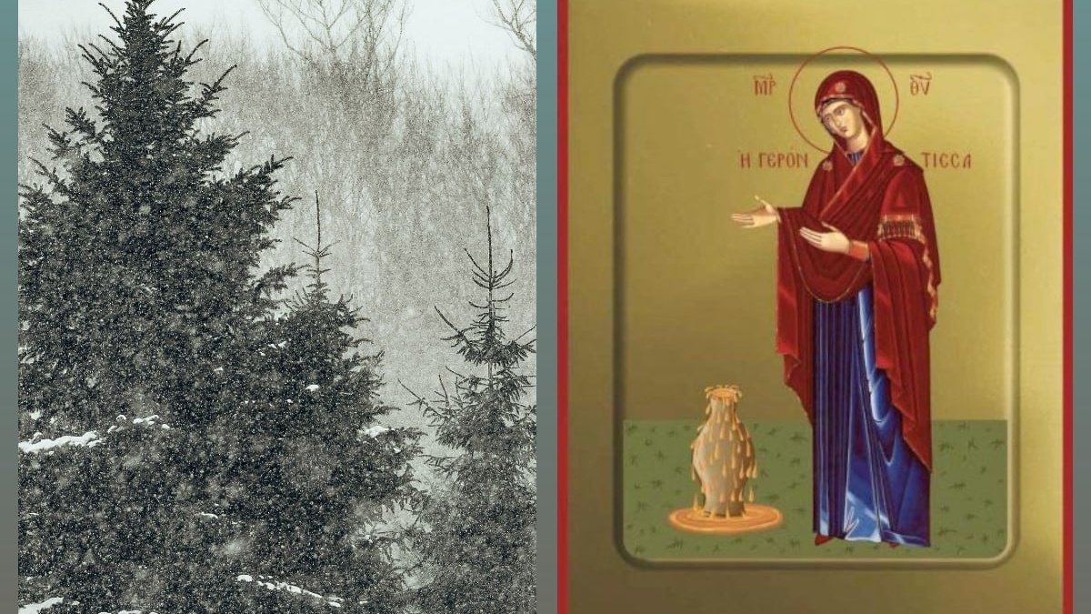 Коллаж ИА SM-News📷
