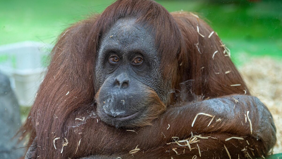    Фото: Komsomolskaya Pravda/globallookpress.com