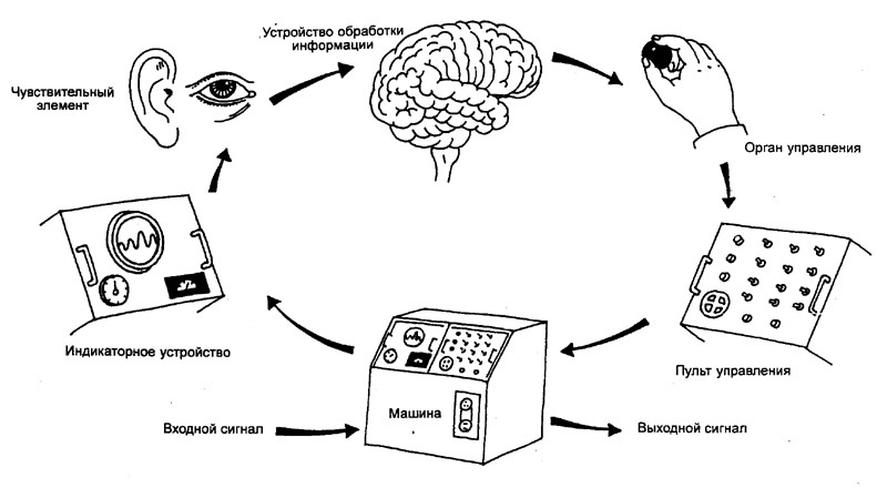 Картинка, иллюстрирующая работу оператора с машиной. Иллюстрация найдена в интернете
