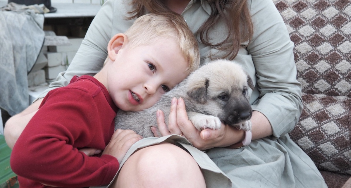 Егор очень хотел щенка