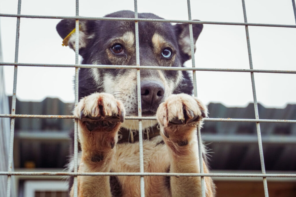 Фото: Алиса Ермакова / АСИ