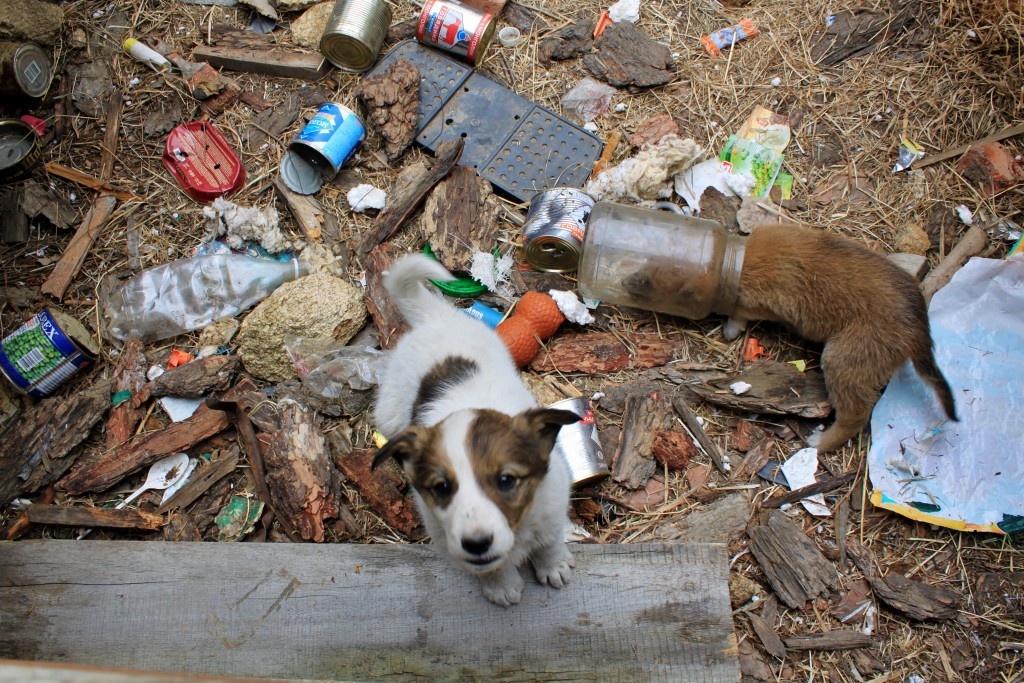Фото: Александра Захваткина / АСИ