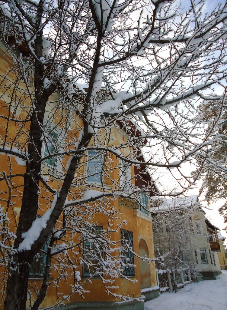 чудесные ангарские домики...