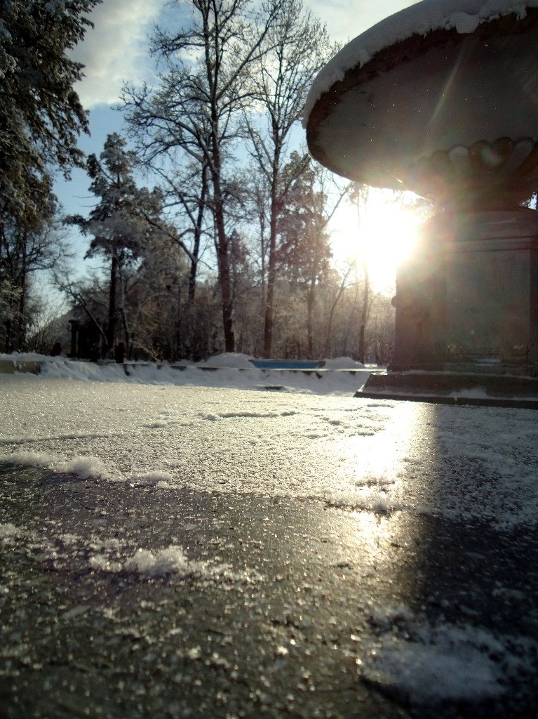 заснеженный фонтан со львами не узнать...